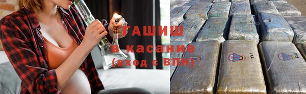 хмурый Арсеньев