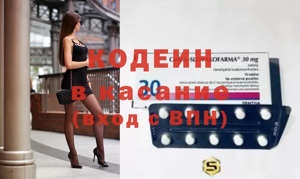 хмурый Арсеньев