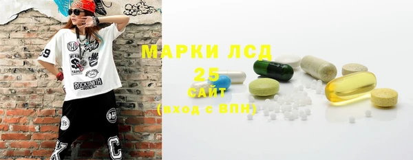 крисы Аркадак