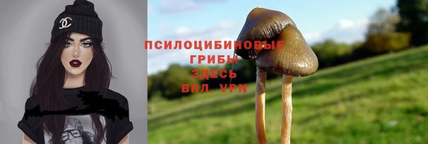 хмурый Арсеньев