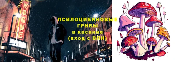 крисы Аркадак