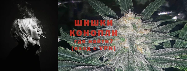 хмурый Арсеньев